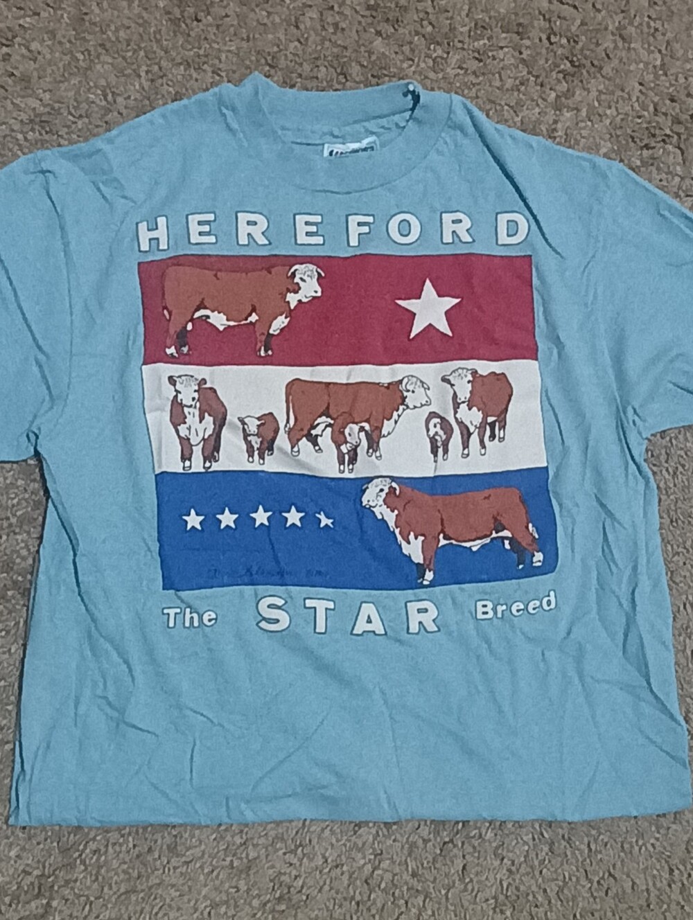 Hereford HANES Graphic Tee - Light Blue Mens/Women's Shirt
